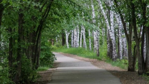 Как планируют благоустроить парк имени Ленина в Барнауле