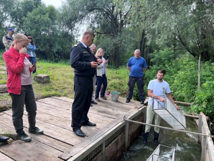 «Кузбассразрезуголь» выпустил в Томь более 40 тысяч мальков ценных пород рыб