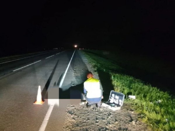 На Чуйском тракте  водитель грузовика насмерть сбил жителя Алтайского края и уехал