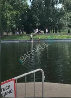 Несанкционированное купание в пруду барнаульского парка чуть не обернулось гибелью ребенка