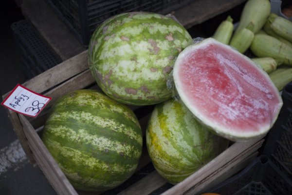 «Рубцовск со вкусом» и гиганты в полосочку. Где в Барнауле продают спелые и сочные арбузы и по каким ценам