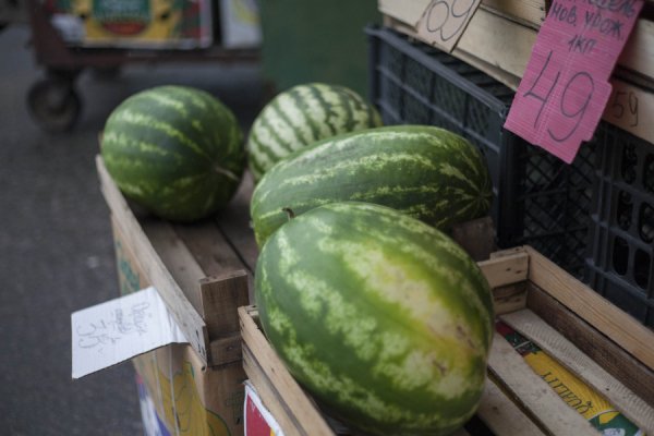 «Рубцовск со вкусом» и гиганты в полосочку. Где в Барнауле продают спелые и сочные арбузы и по каким ценам