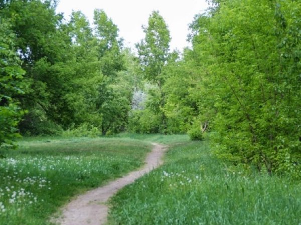 Жители Барнаула рассказали, каким видят парк им. Ленина