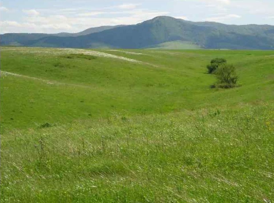 Что за элитный загородный поселок с виллами построят в горах Алтая