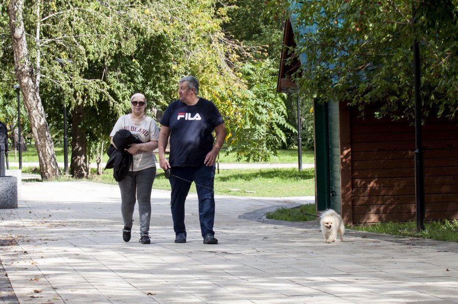 До/после. Что обрели и что потеряли барнаульцы после реконструкции Изумрудного парка - впечатляющий фоторепортаж altapress.ru