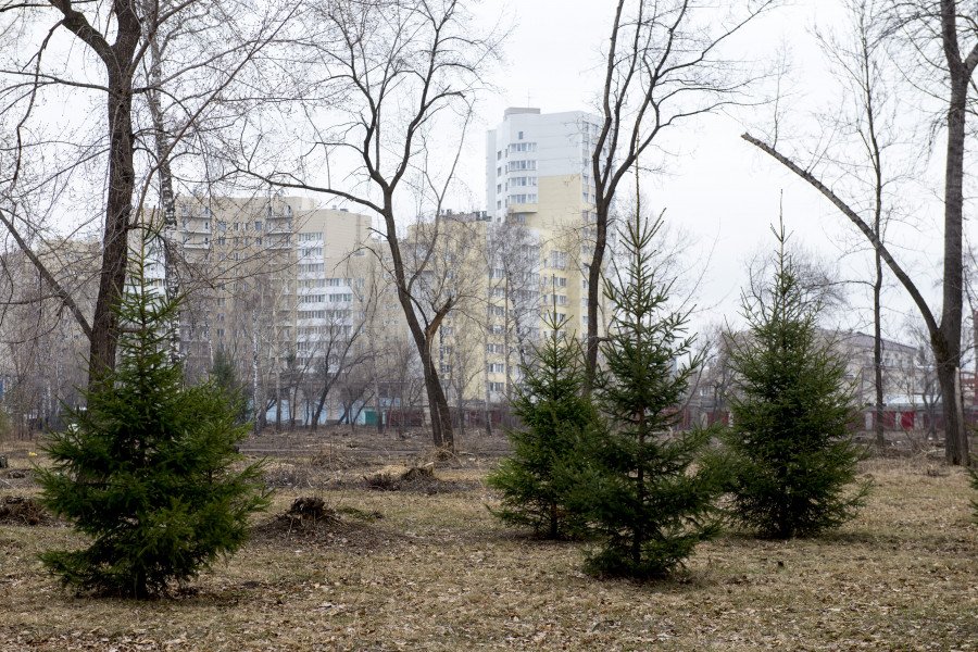 До/после. Что обрели и что потеряли барнаульцы после реконструкции Изумрудного парка - впечатляющий фоторепортаж altapress.ru