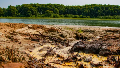 Как выглядит "мертвая зона" с ручьями нефтепродуктов в Барнауле. Фото