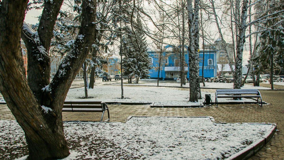 Стало известно, когда в Алтайском крае выпадет первый снег