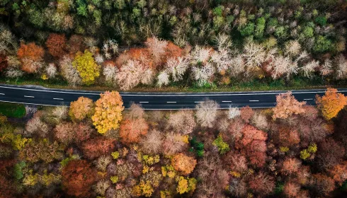 Стало известно, когда в Алтайском крае выпадет первый снег