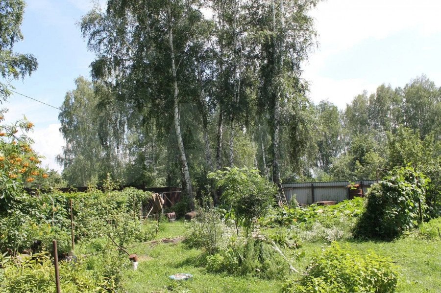 Теплое гнездышко. Какие дачи для сурового зимнего отдыха продают в Барнауле