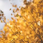 Унылая пора. Как побороть осеннюю хандру и вернуть летние силы, рассказала эксперт