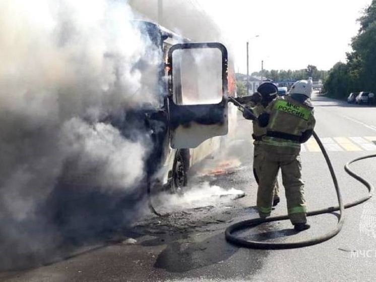 В Алтайском крае объявлена высокая пожароопасность