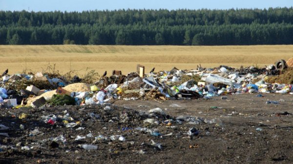 «Я вас взорву». Как мусорная реформа довела алтайского пенсионера до отчаяния и уголовного дела