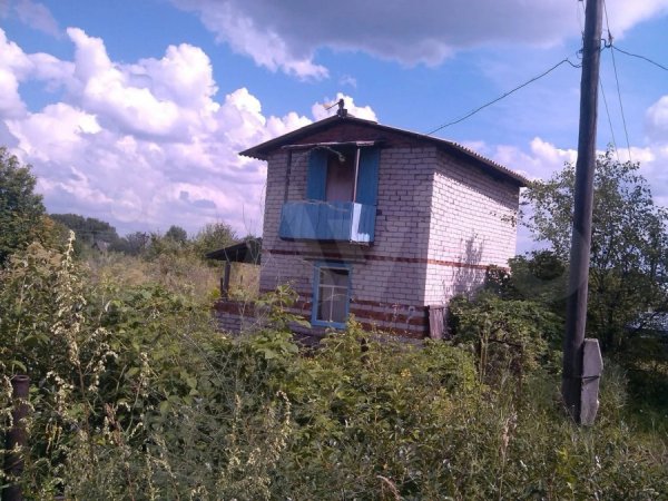Пробник дачи. Какие домики в садоводствах продают под Барнаулом до 100 тыс. рублей