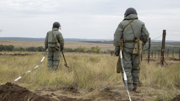 Родина собирает долги. Кого затронет весенний призыв-2023 в Алтайском крае