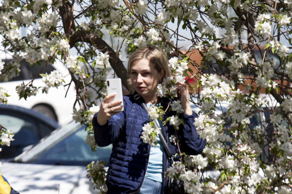 Весна идет — весне дорогу! Фоторепортаж altapress.ru о том, как цветет и преображается Барнаул